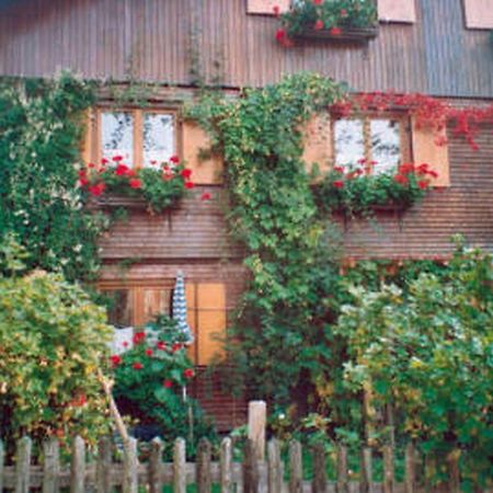 Appartement Haus Lisa Wittwer à Bad Hindelang Extérieur photo